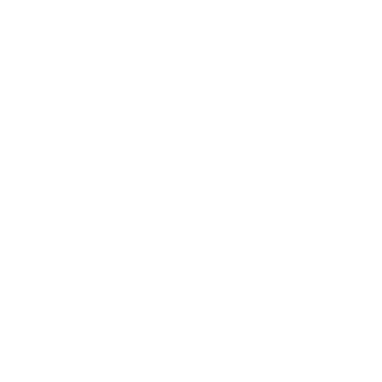Polished Perspectives